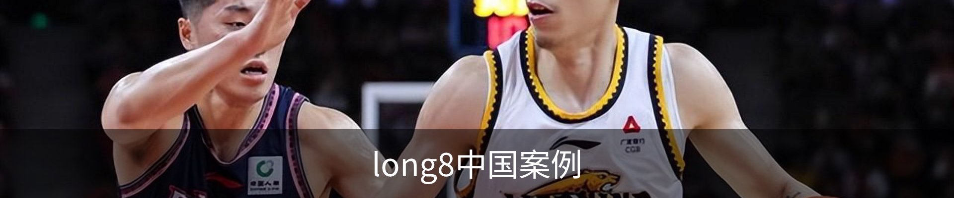 long8中国案例